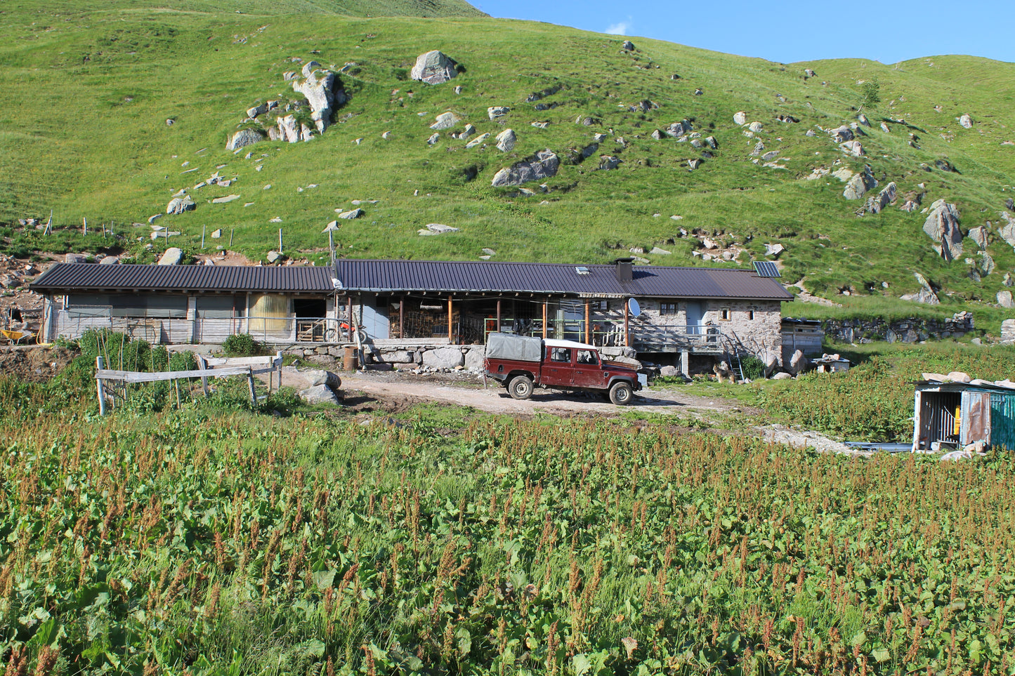 QUOTA SOSTENITORE DELLA MALGA