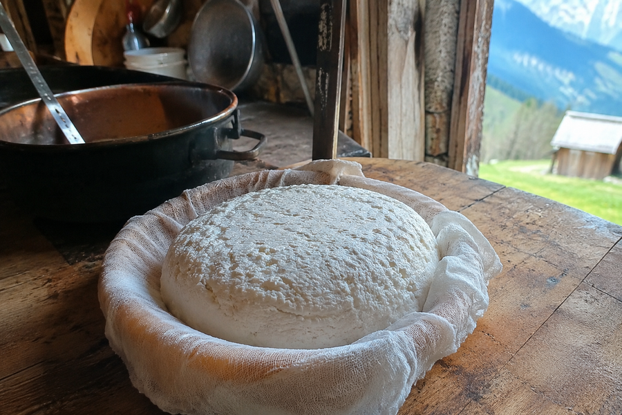 POINA O MASCHERPA: la ricotta delle Alpi racconta una civiltà montana dove nulla veniva sprecato e ogni gesto aveva valore
