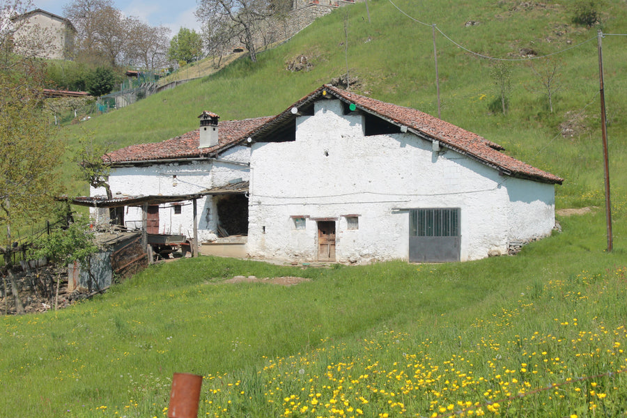 DEI STRACCHINI E DELLE ROBIOLE: l’eredità casearia dei Bergamini