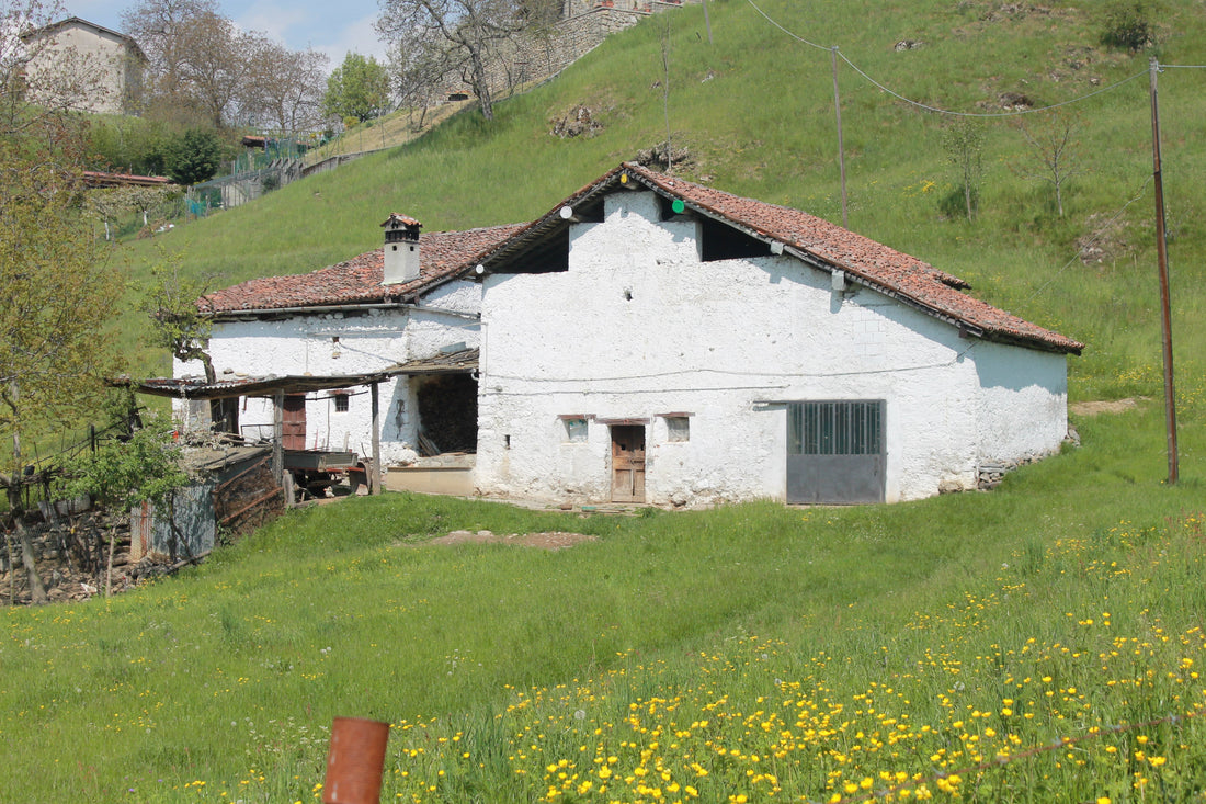 DEI STRACCHINI E DELLE ROBIOLE: l’eredità casearia dei Bergamini