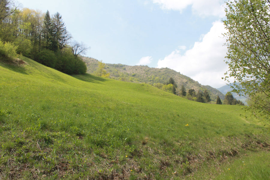 I PAESAGGI CHE NON VEDIAMO PIU': maggenghi, segàboli e il tempo della montagna