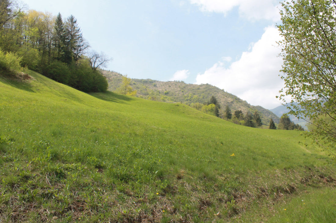 I PAESAGGI CHE NON VEDIAMO PIU': maggenghi, segàboli e il tempo della montagna